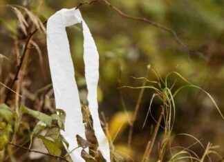 Toholammin vainajan tunnistaminen: Poliisi etsii vastauksia löydettyjen ruumiinosien avulla news-21102024-151929