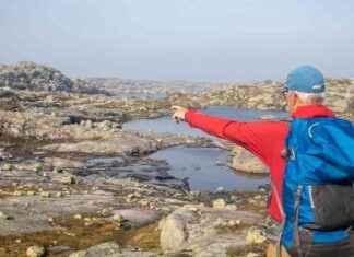 DNT tukee täysin poron puolta news-23102024-093353