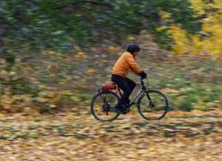 Säänlämpötila jatkaa syksyistä lämpöaaltoa ensi viikkoon asti news-24102024-034612