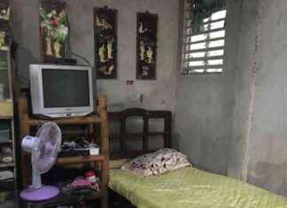 Norja: Ennennäkemätön Kripos-raportti paljastaa maan korkean suhteen suoratoimitettuihin tilattuihin rikoksiin news-26102024-161553