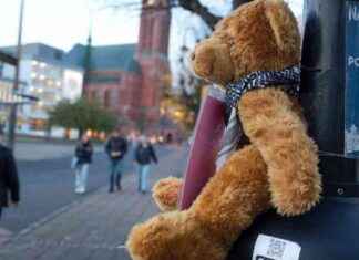 Vinkkejä kaivataan: Fredsbamser poistettu news-29102024-044320