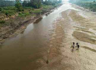 Ympäristöministeri: YK:n biodiversiteettikonferenssi pettymys news-03112024-081250