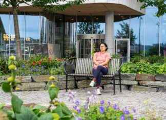 Tutkija löysi aviomiehensä World of Warcraftista news-11112024-035129