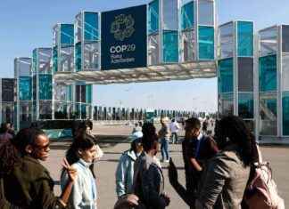 Pohjoismaiden yhteinen pyyntö maailmanlaajuisesta hiilipäästökauppajärjestelmästä news-17112024-001204