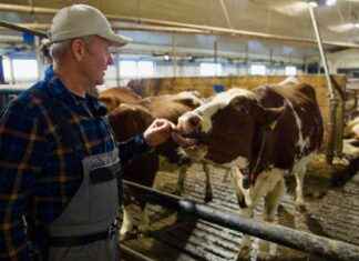 Hallitus avaa mahdollisuuden jättää 2G-verkko sammuttamatta ensi vuonna news-19112024-062300