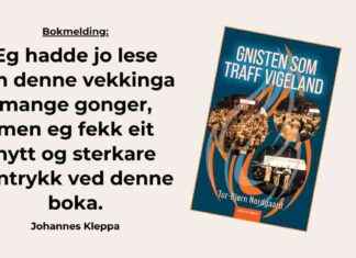 Johannes Kleppan kirjan arvostelu: Inspiroivia näkemyksiä Vigelandin Vekkingaasta news-20112024-123110