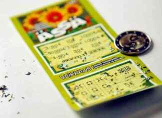 Harvan arvan voittomahdollisuudet: Totuus paljastuu news-26112024-115302