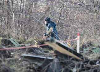 Liettuan lentoturma: Rahtikoneen putoaminen voisi aktivoida Naton viides artikla news-27112024-055700