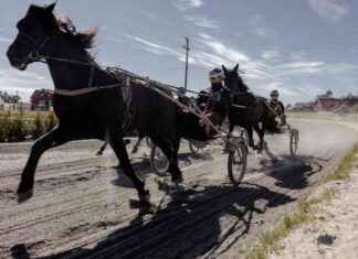 Analyysi: Aftenpostenin lähestymistapa ja työskentely «Hestedøden» -artikkelin parissa news-29112024-002059