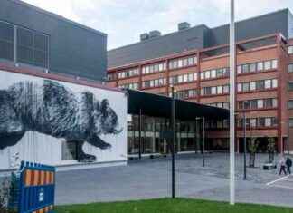 Rakennusluvat Espoolaislukion kasvihuoneelle: Käyttökielto aiheutti ongelmia news-29112024-123543