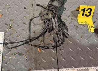 Neljä telekommunikaatiokaapelia Suomen yhteyksissä poissa käytöstä nelj-telekommunikaatiokaapelia-suomen-yhteyksiss-poissa-kytst