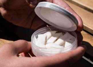 Poliisi ei epäile rikosta nikotiinipussien skandaalissa poliisi-ei-epile-rikosta-nikotiinipussien-skandaalissa