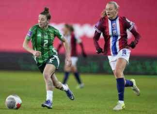 Pommeja taas kerran saatavilla pommeja-taas-kerran-saatavilla