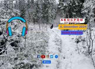 Skogpod 6. joulukuuta 2024 – Tapahtumat, Vieraat ja Aiheet skogpod-6-joulukuuta-2024-tapahtumat-vieraat-ja-aiheet