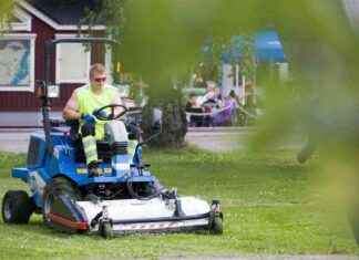 Suomalainen lehti nimittää nurmikot ’turhimmaksi kohteeksi’ vuonna 2024 suomalainen-lehti-nimitt-nurmikot-turhimmaksi-kohteeksi-vuonna-2024