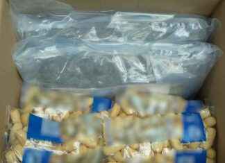 Tulli epäilee ryhmän salakuljettaneen lähes 100 kg kannabista kekseihin piilotettuna tulli-epilee-ryhmn-salakuljettaneen-lhes-100-kg-kannabista-kekseihin-piilotettuna