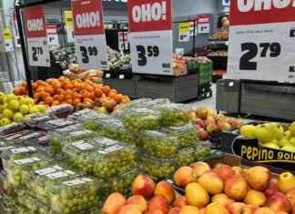 Suomalaiset supermarkettit varastavat asiakkaita – Tokmannin perustaja sanoo, kun vähittäismyyjä laajenee alalle suomalaiset-supermarkettit-varastavat-asiakkaita-tokmannin-perustaja-sanoo-kun-vhittismyyj-laajenee-alalle