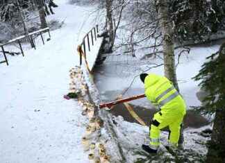 Suomi: 900 siltaa huonossa kunnossa – tieliikenteen turvallisuusasiantuntijat suomi-900-siltaa-huonossa-kunnossa-tieliikenteen-turvallisuusasiantuntijat