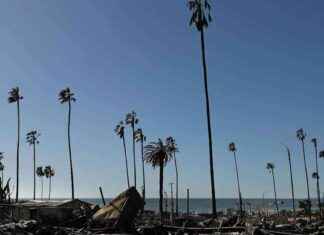 Trump vierailee Kaliforniassa maastopalojen runtelemilla alueilla trump-vierailee-kaliforniassa-maastopalojen-runtelemilla-alueilla