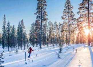 Alkutalven lasketteluloman viikko alkutalven-lasketteluloman-viikko