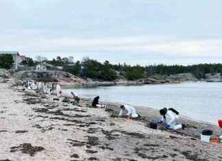 Hanko rannan siivoustalkoot jatkuvat hanko-rannan-siivoustalkoot-jatkuvat