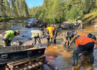 Stora Enso ei voi käyttää puuta, joka kaadettiin simpukoiden tuhoksiincidentti stora-enso-ei-voi-kytt-puuta-joka-kaadettiin-simpukoiden-tuhoksiincidentti