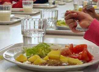 Koulut ottavat erilaisia lähestymistapoja ramadanin paastoon koulut-ottavat-erilaisia-lhestymistapoja-ramadanin-paastoon