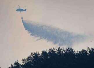 Kuolleita Etelä-Korean maastopaloissa: Ainakin neljä uhria kuolleita-etel-korean-maastopaloissa-ainakin-nelj-uhria