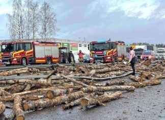 Valtava tukkikuorma tukki valtatien Lappeenrannassa valtava-tukkikuorma-tukki-valtatien-lappeenrannassa