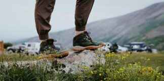 Ahma Suomi: Missä Tämä Harvinainen Petoyksilö Liikkuu Ahma Suomi: Missä Tämä Harvinainen Petoyksilö Liikkuu