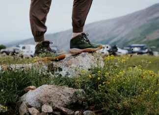 Ahma Suomi: Missä Tämä Harvinainen Petoyksilö Liikkuu Ahma Suomi: Missä Tämä Harvinainen Petoyksilö Liikkuu