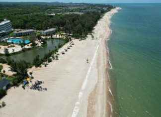 Allas Sea Pool Elämys: Miksi Se Vetää Väkeä Vuodesta Toiseen Allas Sea Pool Elämys: Miksi Se Vetää Väkeä Vuodesta Toiseen