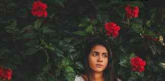 Alppiruusu: Alppiruusu Puutarhassa – Näin Saat Sen Kukkimaan Upeasti Alppiruusu: Alppiruusu Puutarhassa – Näin Saat Sen Kukkimaan Upeasti