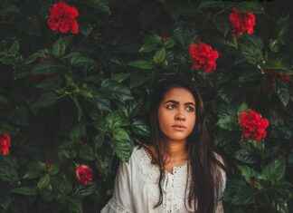 Alppiruusu: Alppiruusu Puutarhassa – Näin Saat Sen Kukkimaan Upeasti Alppiruusu: Alppiruusu Puutarhassa – Näin Saat Sen Kukkimaan Upeasti