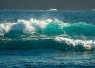 Biojäteastia Näin Lajittelet Biojätteet Oikein Biojäteastia Näin Lajittelet Biojätteet Oikein