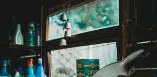 Hyönteiset Puutarhassa Hyvät Ja Haitalliset Lajit Hyönteiset Puutarhassa Hyvät Ja Haitalliset Lajit