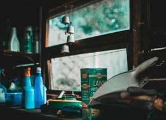 Hyönteiset Puutarhassa Hyvät Ja Haitalliset Lajit Hyönteiset Puutarhassa Hyvät Ja Haitalliset Lajit