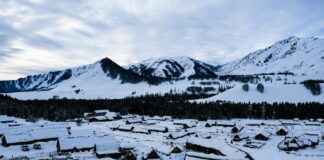 Igorin Kana: Igorin Kana Resepti Joka Tuo Itämaiset Maut Pöytään Igorin Kana: Igorin Kana Resepti Joka Tuo Itämaiset Maut Pöytään