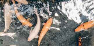 Kahvinkeitin Vertailu Mikä On Paras Valinta Kotiin Kahvinkeitin Vertailu Mikä On Paras Valinta Kotiin