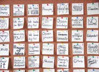 Kesäkukat Parvekkeelle Ja Pihaan Näin Onnistut Kesäkukat Parvekkeelle Ja Pihaan Näin Onnistut