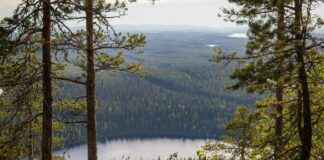 Kp24 Tarjoaa: Uusimmat Uutiset Keski-Pohjanmaalta Kp24 Tarjoaa: Uusimmat Uutiset Keski-Pohjanmaalta