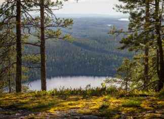 Kp24 Tarjoaa: Uusimmat Uutiset Keski-Pohjanmaalta Kp24 Tarjoaa: Uusimmat Uutiset Keski-Pohjanmaalta