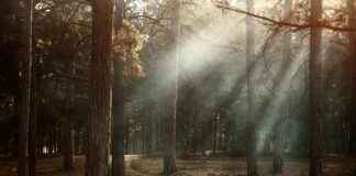 Kuka Soitti? Selvitä Tuntemattomat Puhelut Helposti Kuka Soitti? Selvitä Tuntemattomat Puhelut Helposti