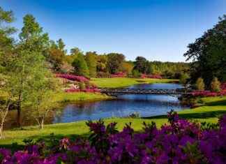 Kukkakaaligratiini: Kukkakaaligratiini Helposti – Kermaisen Herkullinen Resepti Kukkakaaligratiini: Kukkakaaligratiini Helposti – Kermaisen Herkullinen Resepti