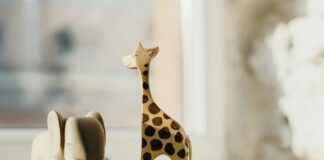 Kumiankka Tarina: Kuinka Lastenlelu Valloittti Maailman Kumiankka Tarina: Kuinka Lastenlelu Valloittti Maailman