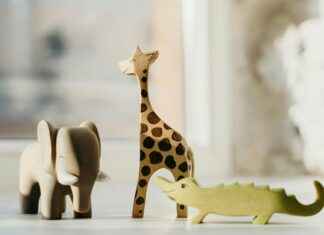 Kumiankka Tarina: Kuinka Lastenlelu Valloittti Maailman Kumiankka Tarina: Kuinka Lastenlelu Valloittti Maailman