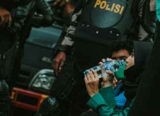 Kuunlilja: Kuunlilja Puutarhassa – Näin Hoidat Ja Suojaat Kauniit Lehdet Kuunlilja: Kuunlilja Puutarhassa – Näin Hoidat Ja Suojaat Kauniit Lehdet