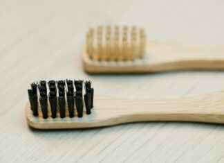 Kuusi Istutus Hoito Ja Hyödyt Pihaan Kuusi Istutus Hoito Ja Hyödyt Pihaan