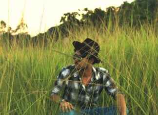 Kylmäsavulohi Valmistus Ja Tarjoiluvinkit Kylmäsavulohi Valmistus Ja Tarjoiluvinkit