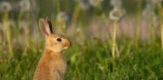 Lakko Uutiset: Näin Se Vaikuttaa Arkeesi Suomessa Lakko Uutiset: Näin Se Vaikuttaa Arkeesi Suomessa